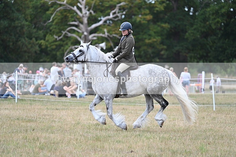 WJ7_5033 - Class 12 Ridden Cob