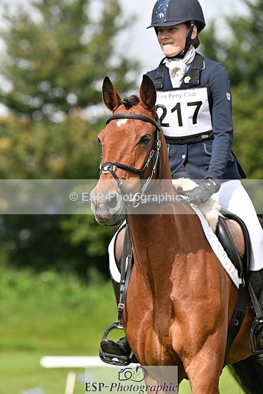 230826-105337-16751 - Sections A & B 10 to End