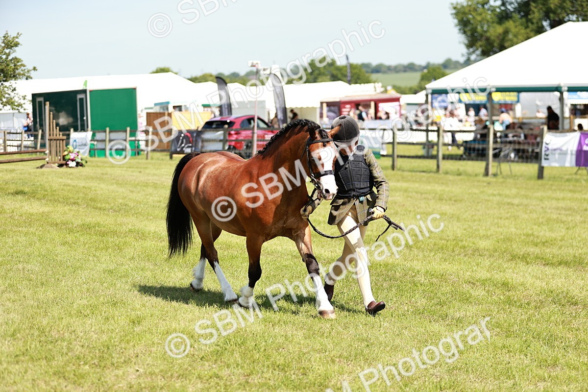 SBM_13606 - Class 108-109 - BSPS LIHS Open Gradle & Nursery Stakes
