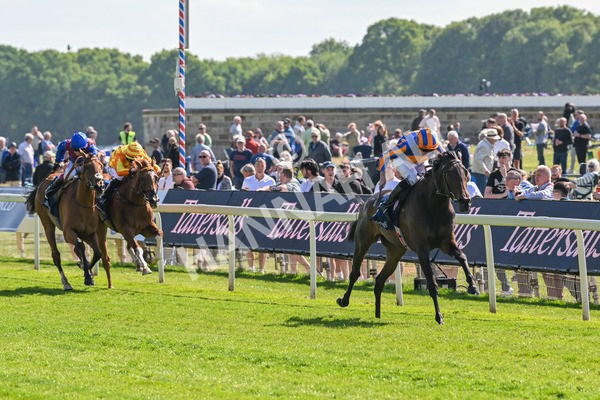 140525-Race 4-Whirl-2408 - Race 4 3.45pm Tattersalls Musidora Stakes