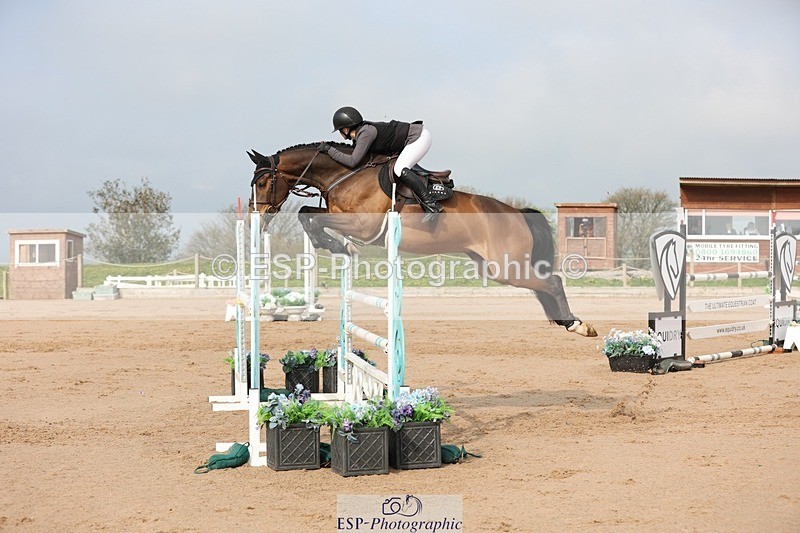 250424-093410-02873 - Cls 29 Young Horse 6yr old