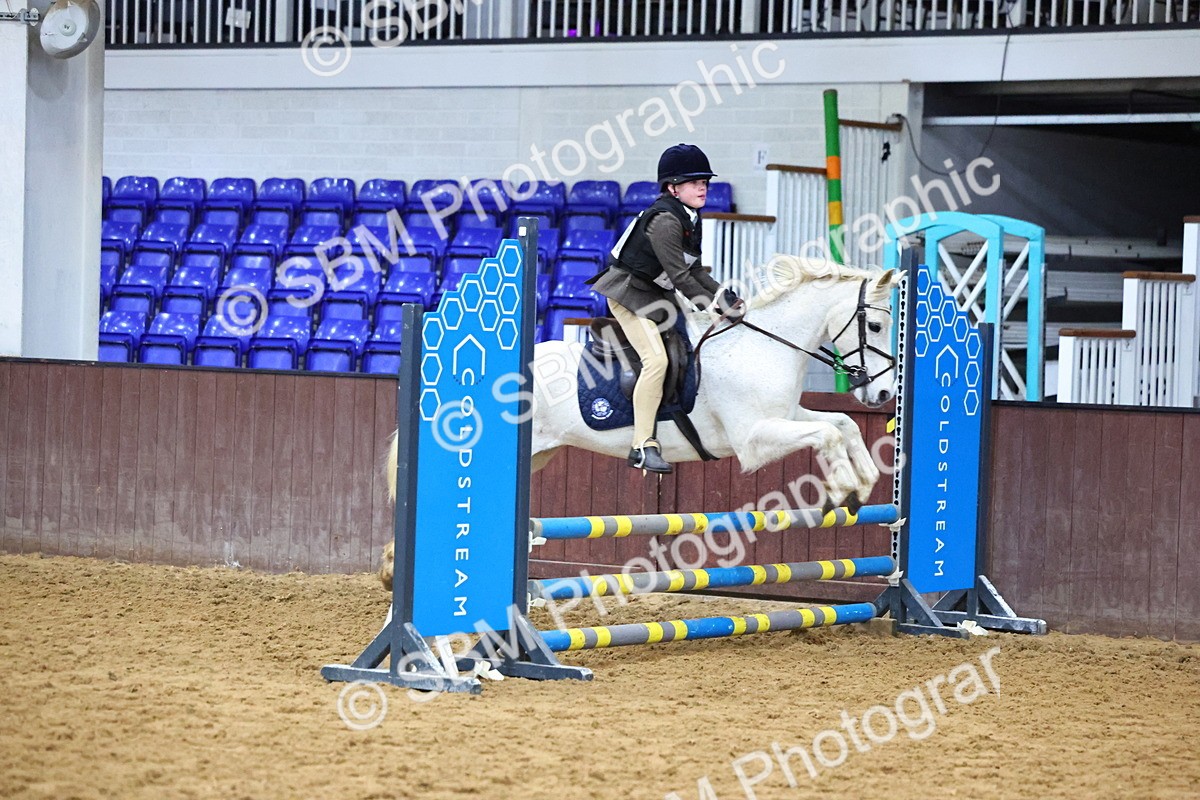 SBM_001244 - Class 3 - Christmas Tree Stakes - 60cm