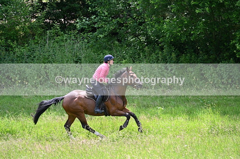 WJ7_8807 - Group 4 11am