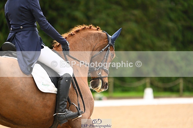 231021-100801-12678 - 221-RUBIN.MOON.SB-Gemma.Watts-DR