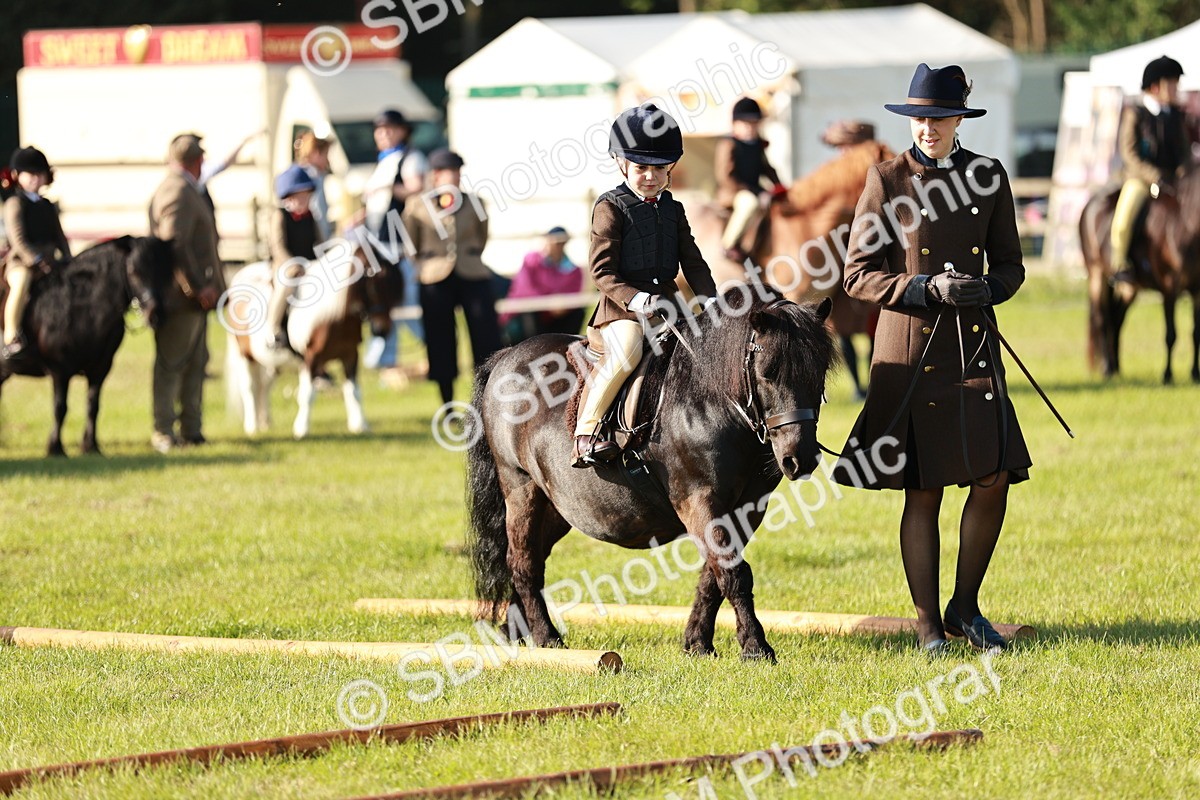 SBM_11069 - Class 106-107 - BSPS LIHS Working Sports Pony