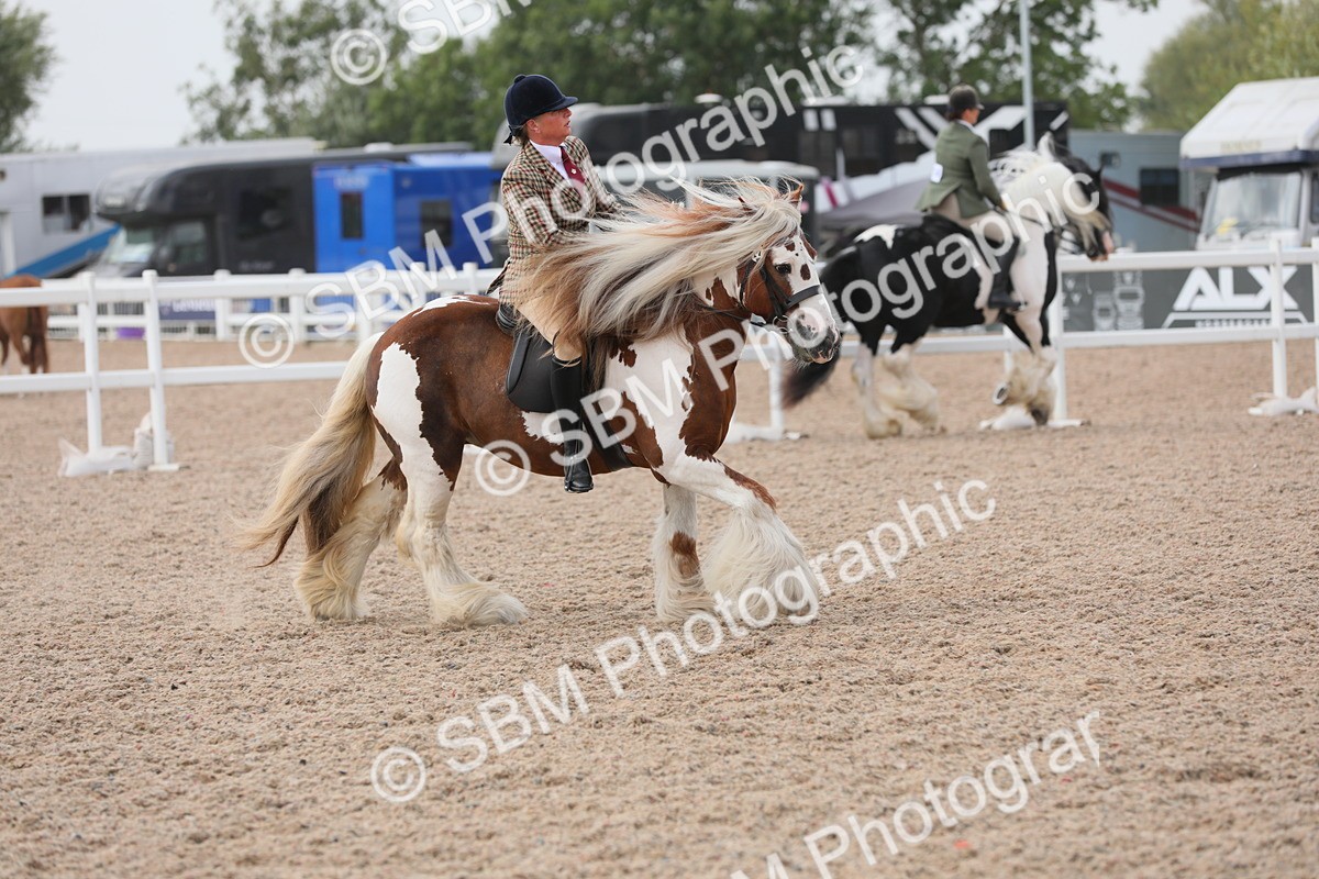 SBM_12684 - Class 307 Ridden Coloured Pony