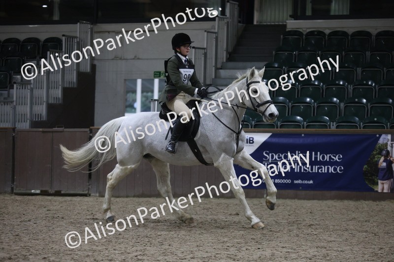 20260125-5040 - Class 5 - 80cm