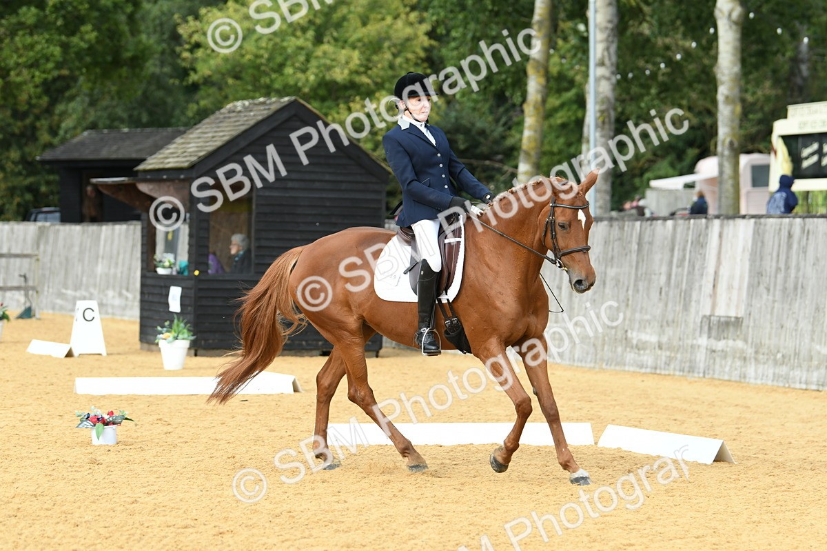 SBM_11012 - D28 Elementary Taster Elementary 42