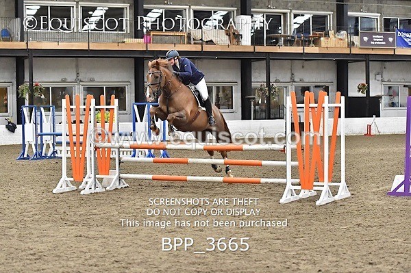 BPP_3665 - FRI CLASS 21 BR NOVICE/90CM