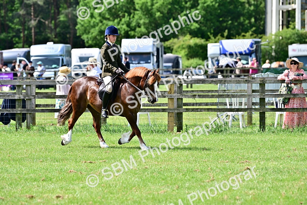 SBM_03792