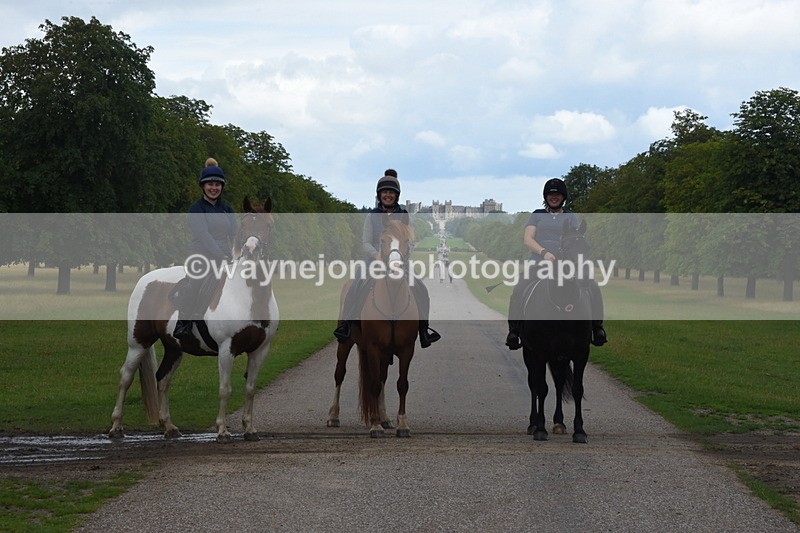 TT3_8956 - Time at Crossing 09:22 to 11:26