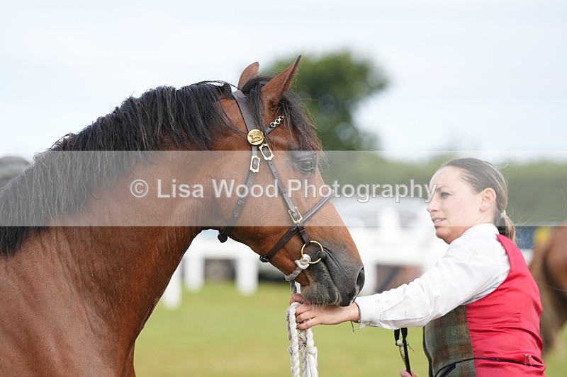 DSC04763 - Class 47: NPS M&M Yearling