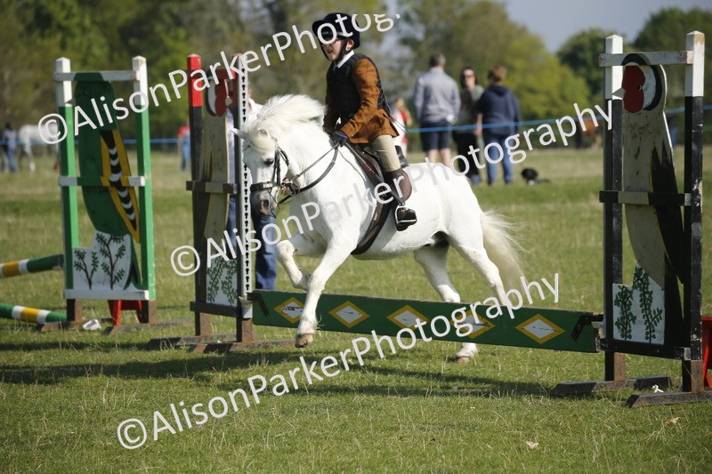 20250427-0303 - Class 12 - Rookie Jumping 40cm