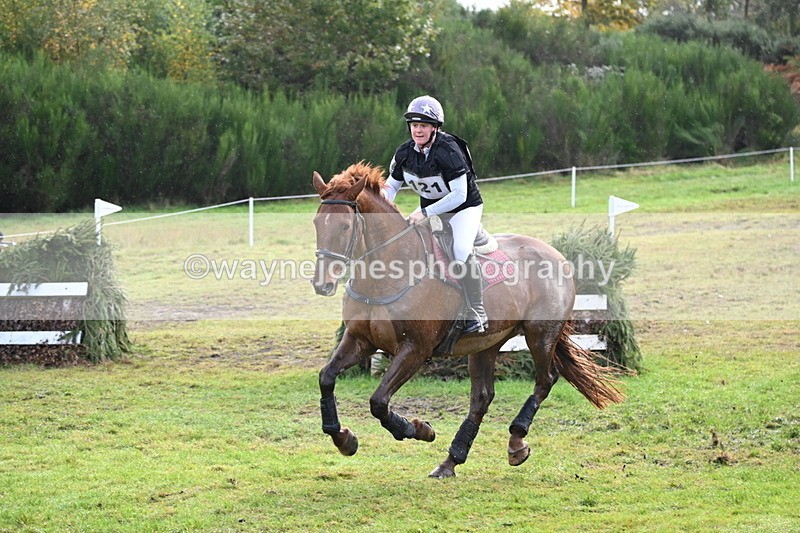 WJ6_2050 - 80cm Cam 1 Time 10:47 to 11:22