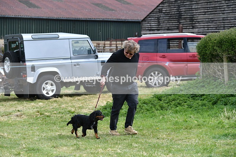 WJ5_9534 - Class 3 Most Handsome Dog