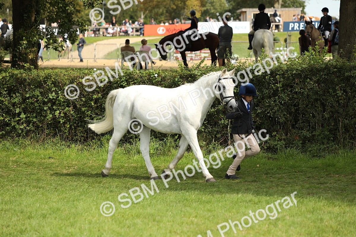 SBM_67710 - S39 - Junior Handler 8  Years & Under