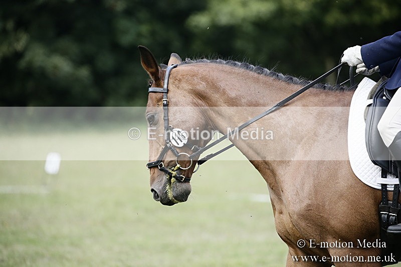 BVR090918 260 - BVRC Dressage and Show Jumping 09/09/18