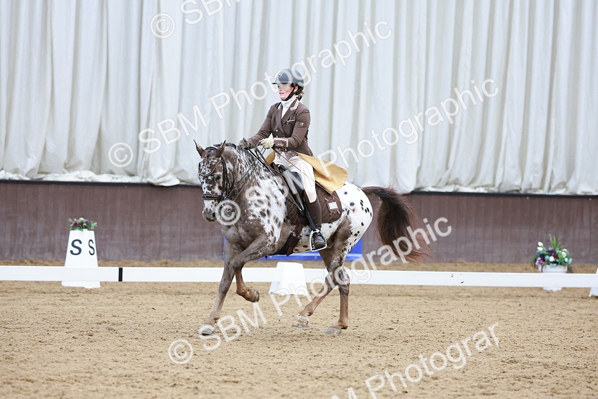 SBM_016569 - Class 5 - FEI INT II - 17.24-18.20