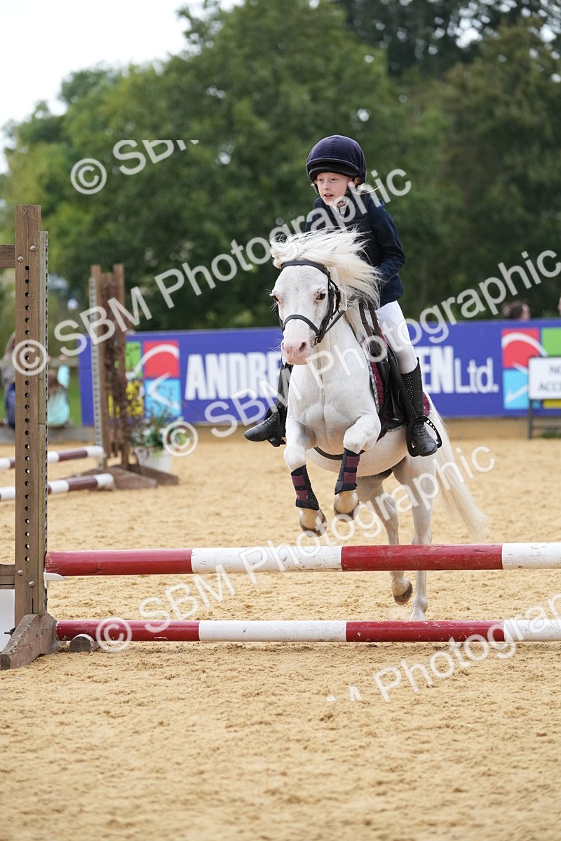 SBM_74627 - J4 - Mini Tour Junior Pony 45cm Championship