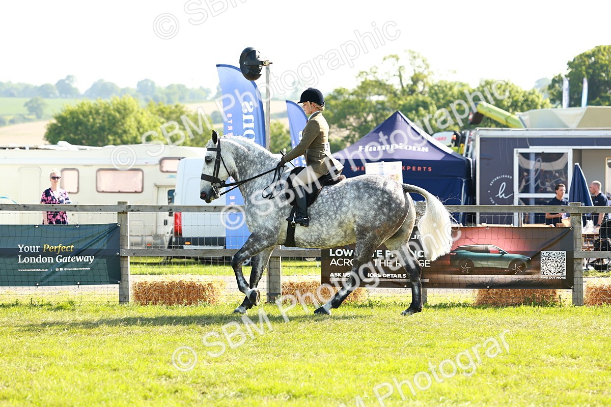 SBM_11779 - Class 66-69 - RIHS Ridden Hunters Inc Small Hunter