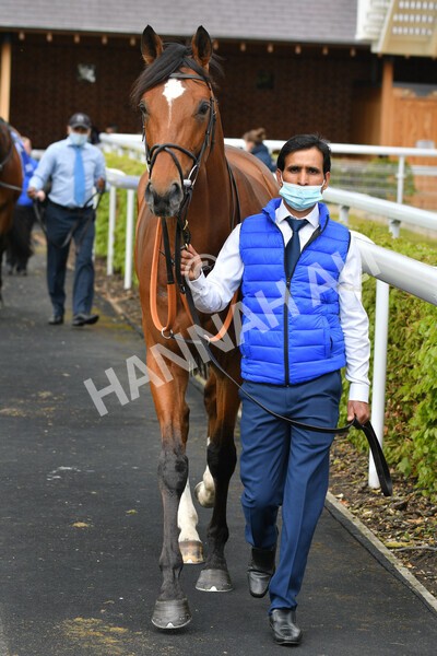 yr12052021r1-3 - Race 1 1.40pm Sky Bet Race to the Ebor Jorvik Stakes