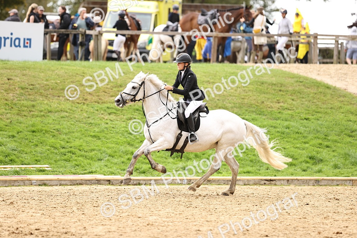 SBM_41979 - J40 Senior Horse & Pony 90cm Supreme Championship