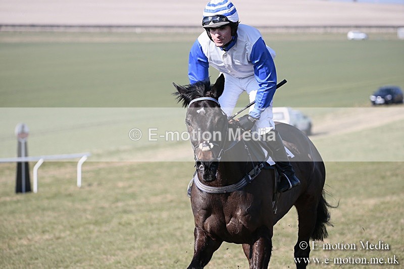 PtP 240218 102 - Vine & Craven Hunt Point-to-Point Barbury racecourse 24/02/18