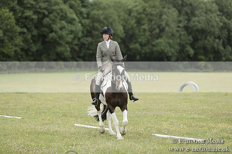 BVR160717-1182 - Class 2 Dressage 16/07/17