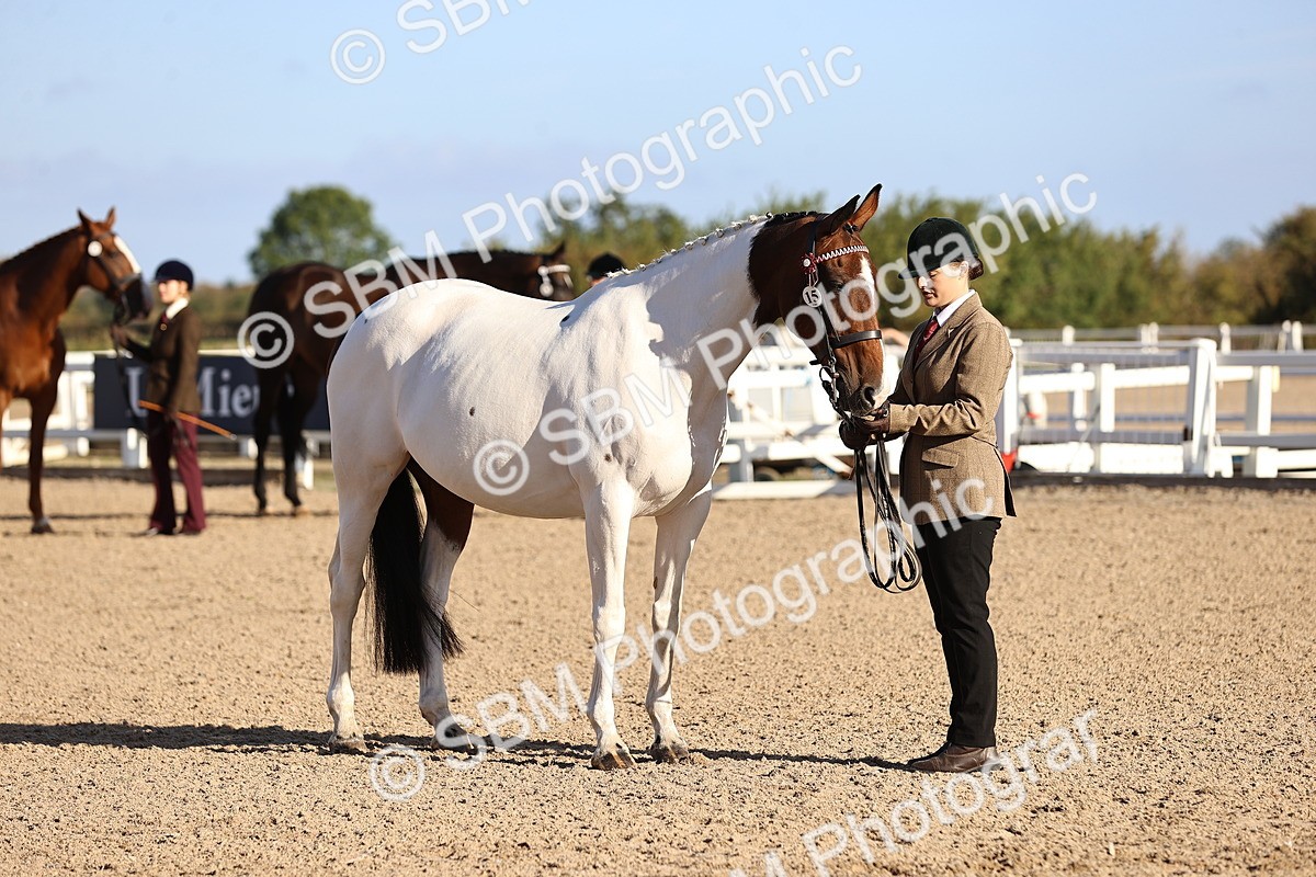 SBM_08367 - Class 401 - IH Veteran Horse