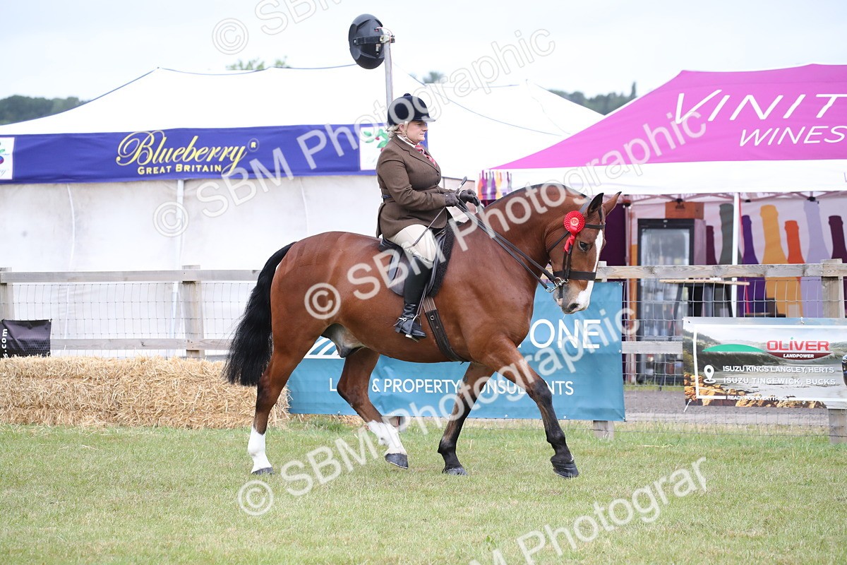 SBM_11323 - Class 92-93 - LIHS BSHA Rising Star Cobs