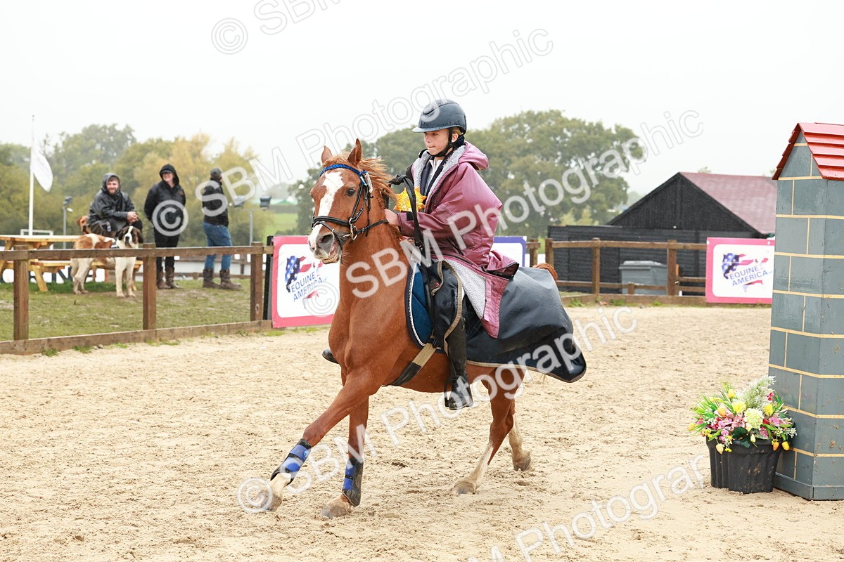 SBM_72397 - J14 - Junior Pony 65cm Championship