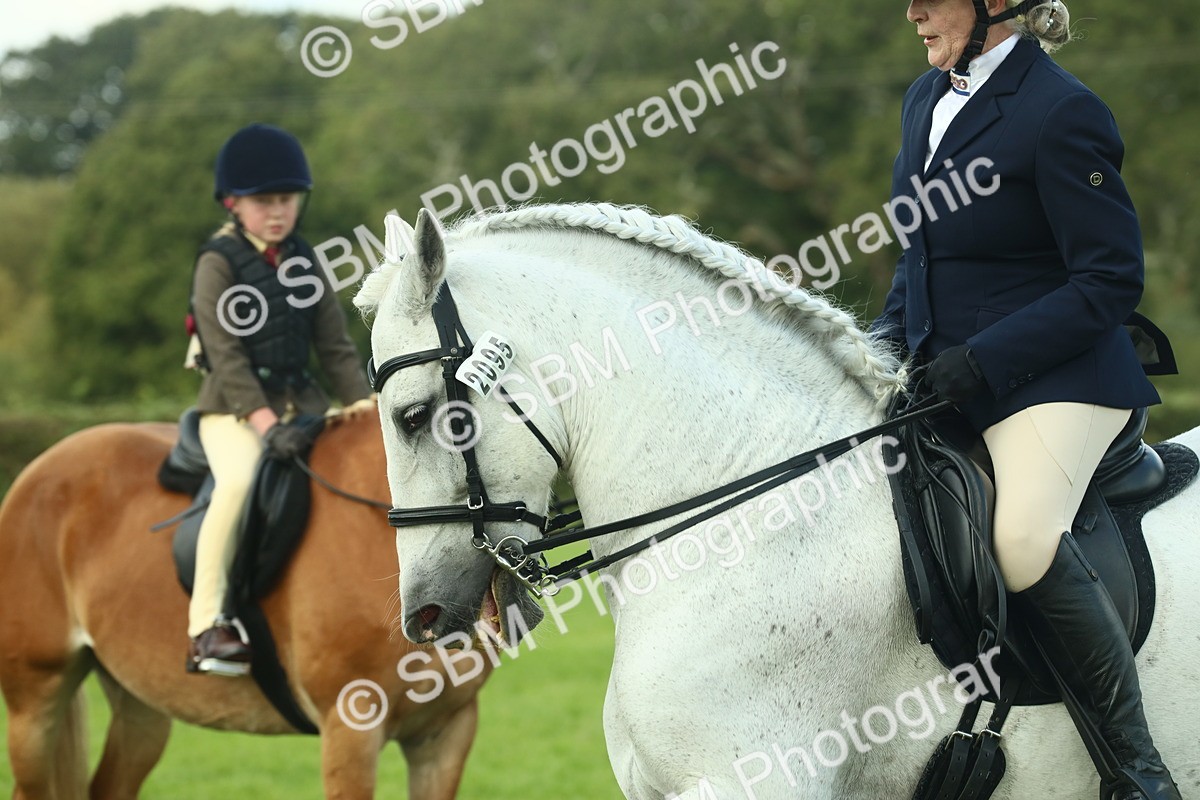 SBM_62455 - S62 - Foreign Breeds Ridden