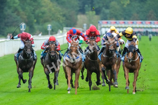 080925-Race 2-Alzahir-7801 - Race 2 3.00pm Sky Bet Super Sub Sprint Handicap