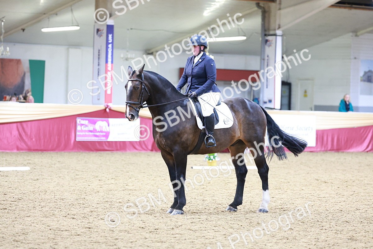 SBM_09260 - Class 61 - Dressage to Music