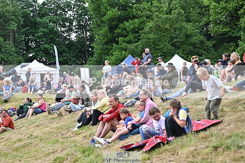 250524A-160001-13089 - Demo Arena Crowds