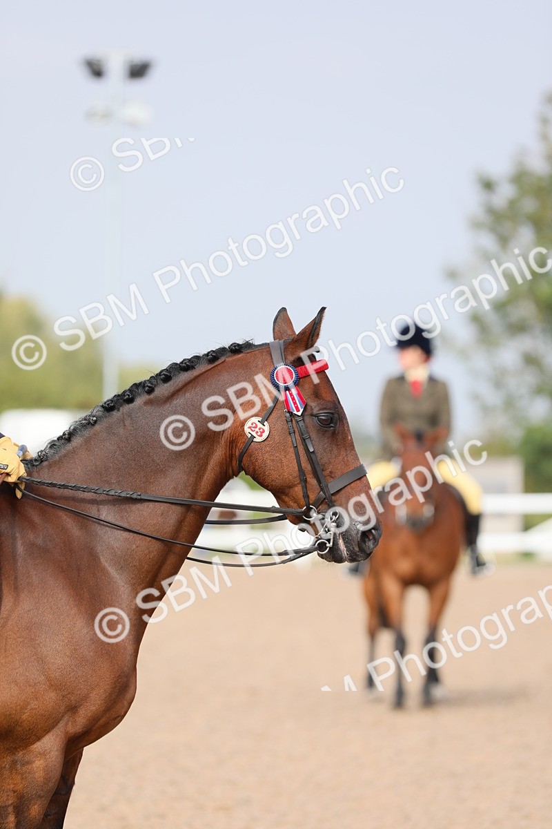 SBM_10896 - Class 304 Ridden Part Bred Horse/Pony
