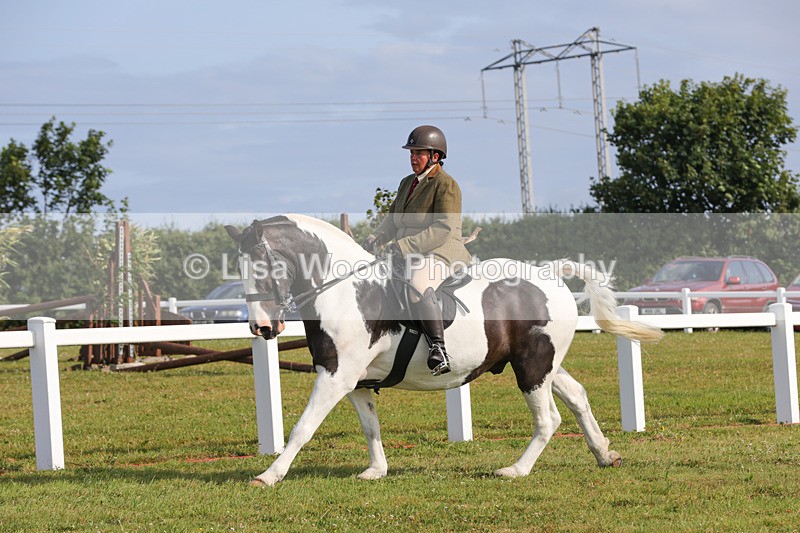 1X9A3299 - Class 28: Ridden Native/Trad Coloured Pony