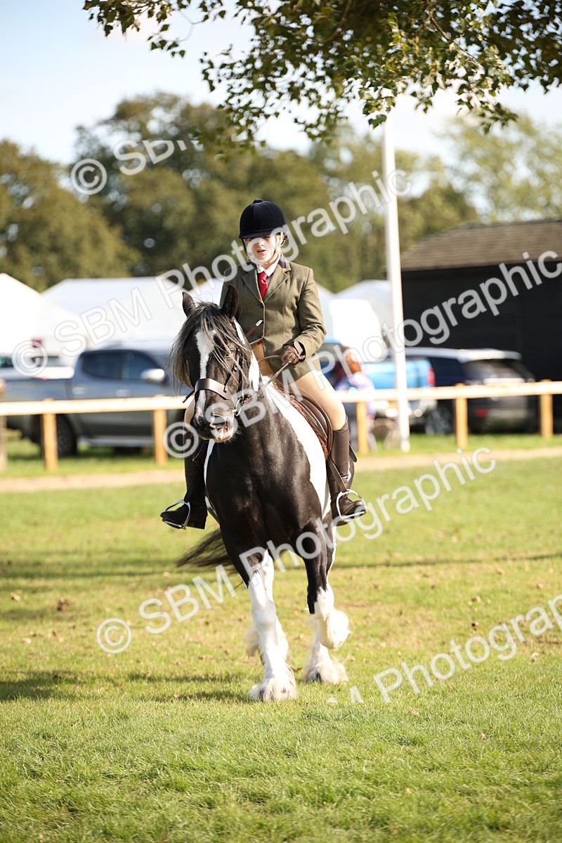 SBM_50135 - S26 - Young Veteran - Ridden