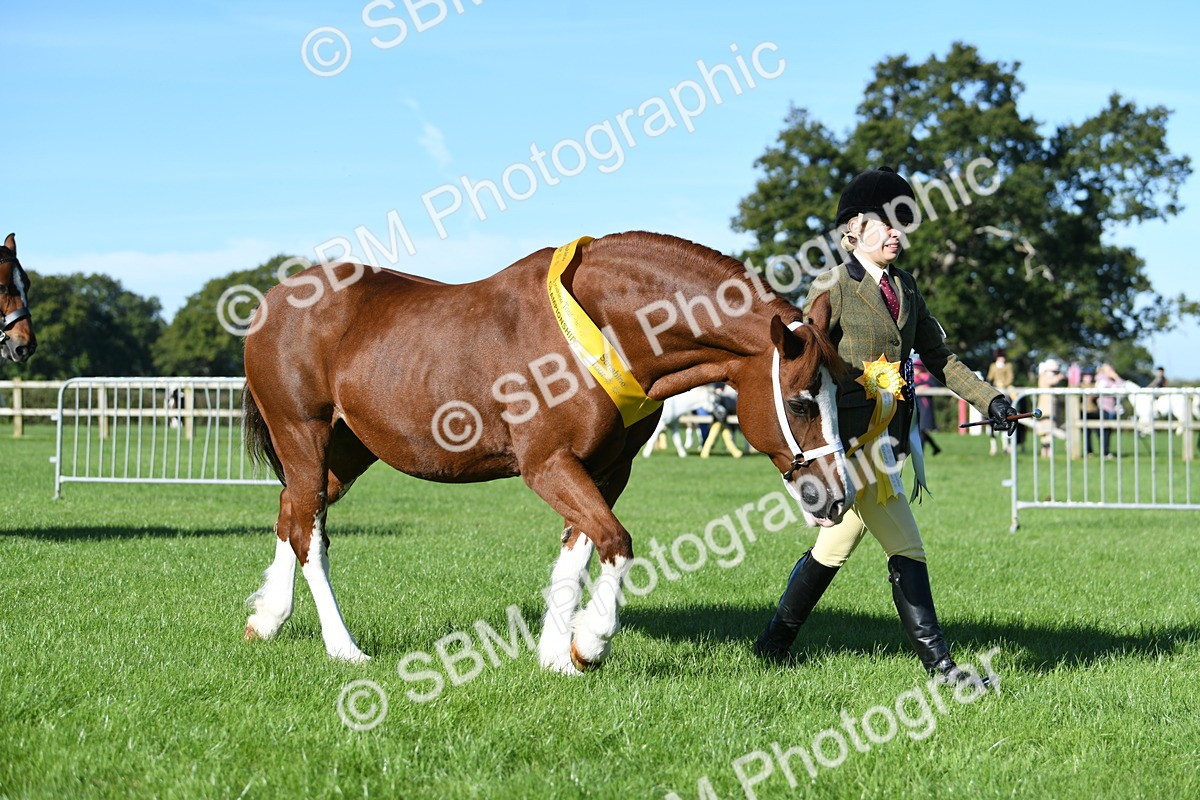 SBM_35631 - Top Turnout Supreme Championship