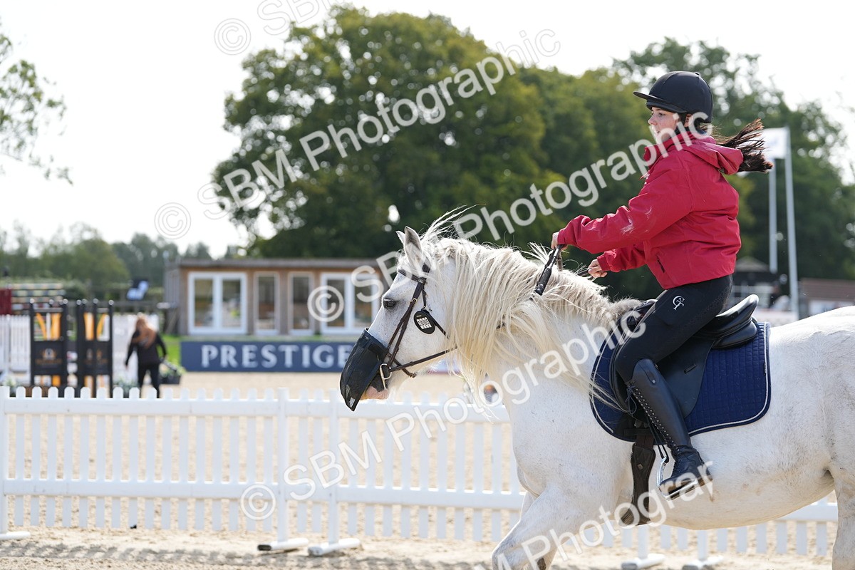 SBM_18113 - J58 - Clear Round 50cm