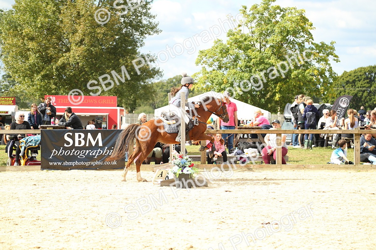 SBM_41335 - J6 - Junior Pony 55cm Championships