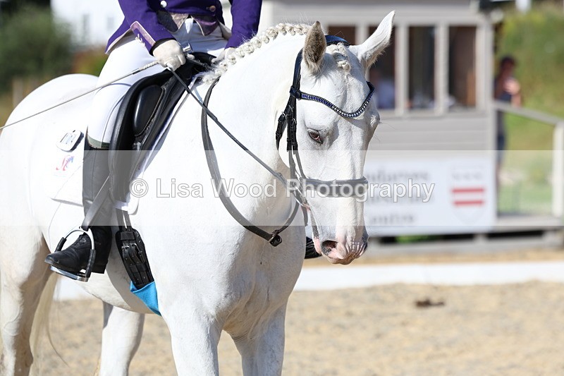 3E7A3520 - Class 2: Intro 1 2024 Section B