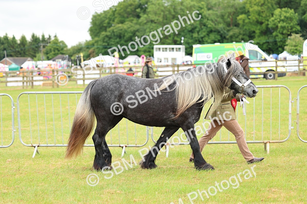 SBM_00594 - Class 58-67 - M&M Non Welsh Pony In hand