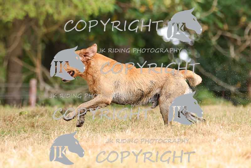 2R6A3550 - ​TEAM A: BORDER COUNTIES & COTSWOLDS 1-2-3