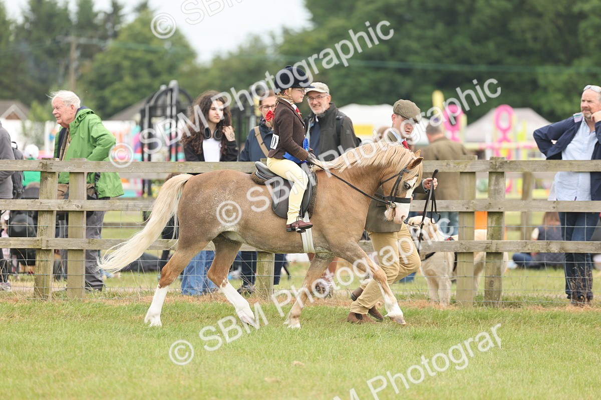 SBM_06937 - Class 74-75 - M&M Lead Rein and First Ridden Pony