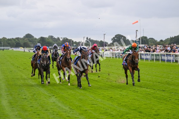 220824-Race 1-Celandine-6577 - Race 1 1.50pm Sky Bet Lowther Stakes
