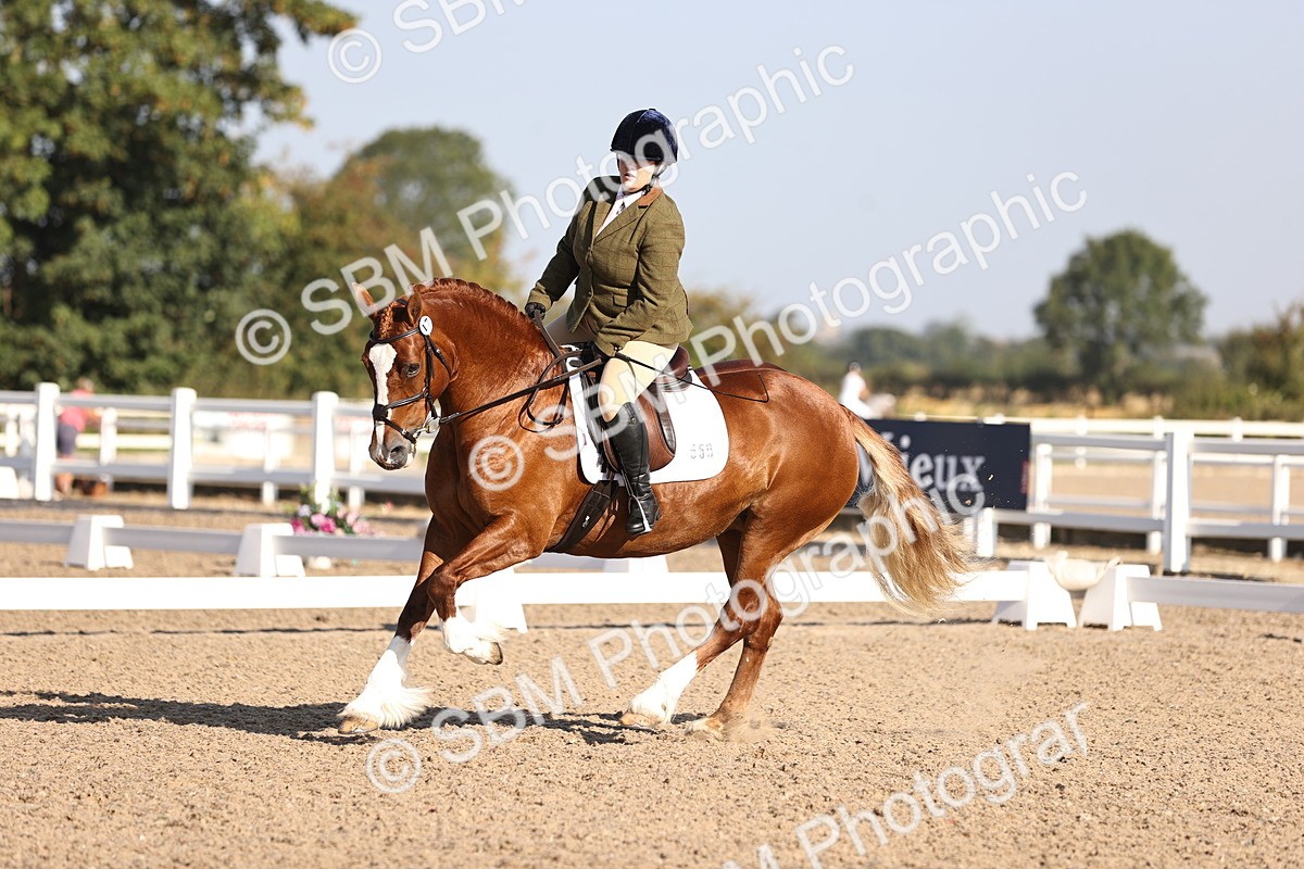 SBM_01660 - Class 34 Prelim 3