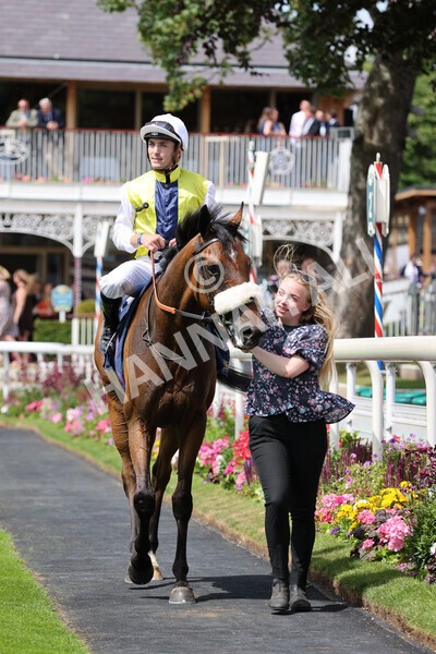 yr08072022r1 -31 - Race 1 2.05pm William Hill Best Odds Guaranteed Handicap Stakes