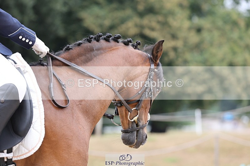 250718A-113253-00863 - 027-Lexi.Hill-Cornashton.Heavens.Above