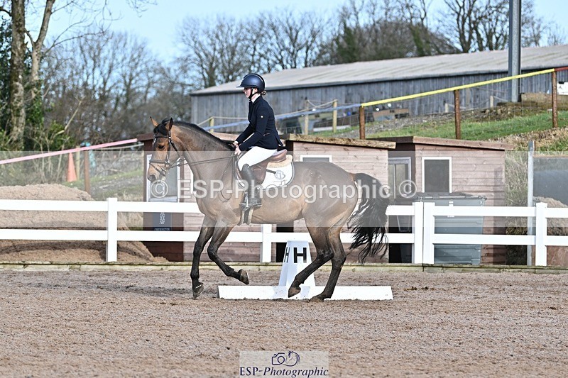 250125-122104-00409 - Dressage - CT Class 5 BE95 (90cm)